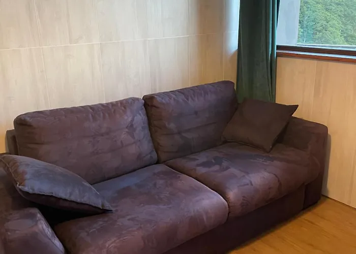 Appartement 4 Pers Tour De La Biche Skis Aux Pieds