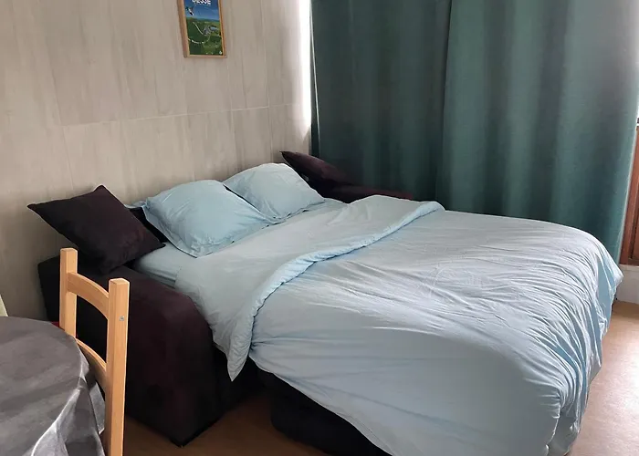 Appartement 4 Pers Tour De La Biche Skis Aux Pieds